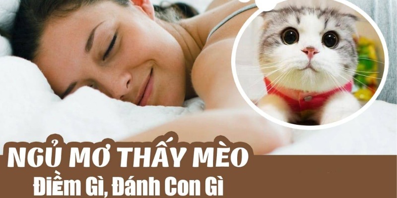 Khám phá chiêm bao nằm mơ thấy mèo chuẩn xác