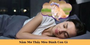 nằm mơ thấy mèo