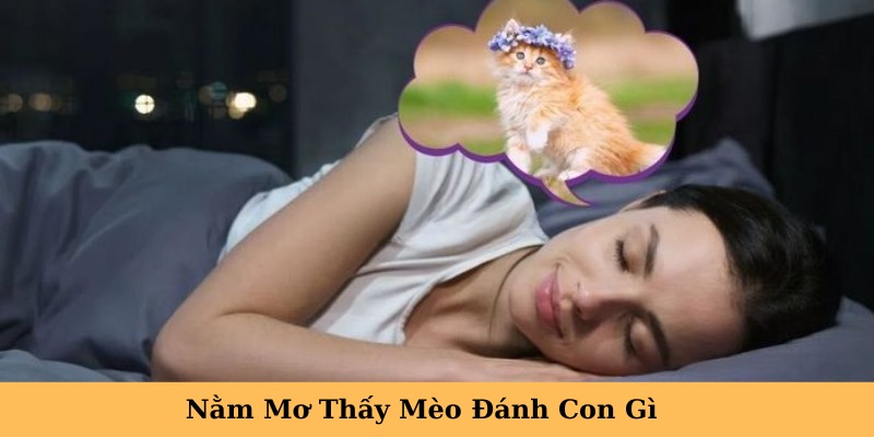 nằm mơ thấy mèo